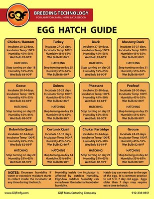 Egg Hatch Guide.jpg