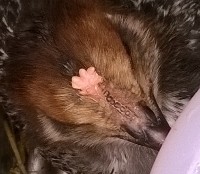 Edited_ImageEasyImageEditor_20160522_2.jpg