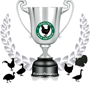 ReserveChampion2.png