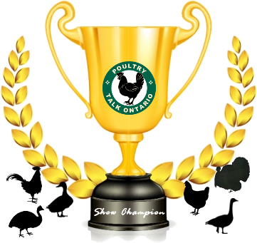 ShowChampion2.png