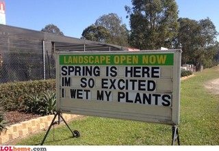spring.jpg