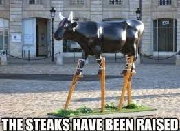 image.jpeg