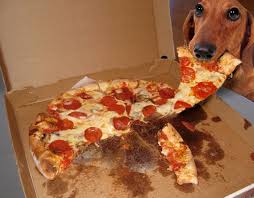 pizza dog.jpg