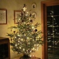 AVATAR Christmas tree.jpg