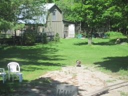 Turkey in the sand.jpg