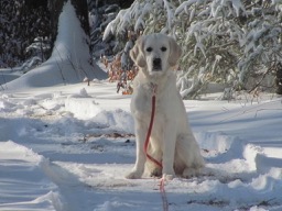 Addy's Snow day.jpg