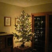 AVATAR 2015 Christmas tree .jpg