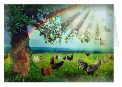 Chicken-Heaven-Sympathy-Card-Pic.png