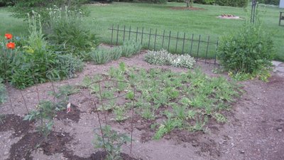 IMG_2301 (1024x575).jpg