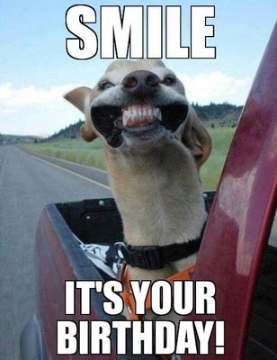 564bb83e5ffafad70a4806ecd2c8ab6f--humor-birthday-funny-birthday-quotes.jpg