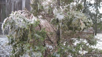 IMG_2205 (1024x575).jpg