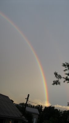 IMG_2368 (575x1024) (575x1024).jpg
