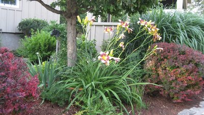 IMG_2356 (1024x575).jpg