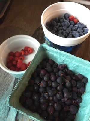 Raspberries, blueberries, and serviceberries!