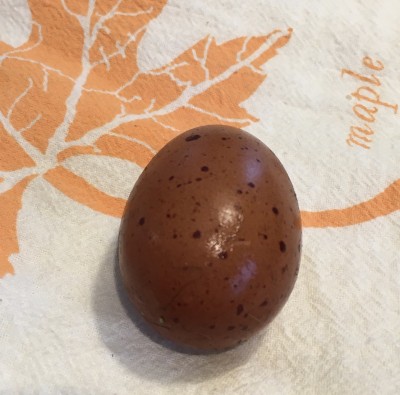 first-egg-french-black-copper-marans.jpeg