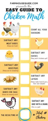 chicken-math-infographic-410x1024.jpg