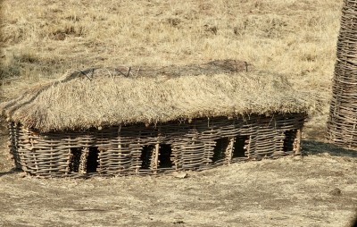 Closeup of nestboxes?  in Zambia