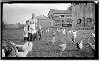 13795_kids_chickens_1020.jpg
