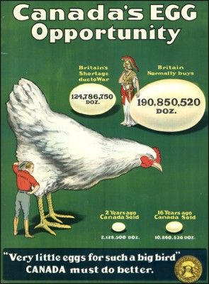 Canada-EGG-Opportunity.jpg