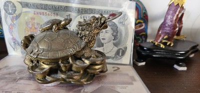 Money turtle must face inside the house so money goes in!