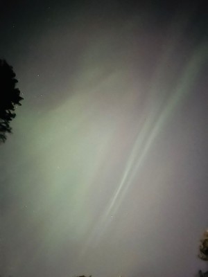 Friend in Newmarket last night
