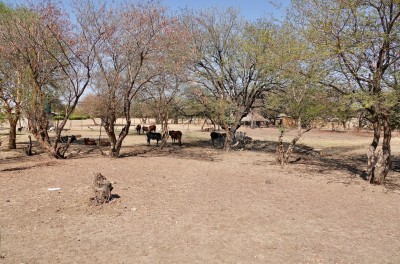 DSC02794.jpeg