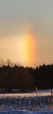 20250221_072740.jpg
