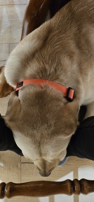 FOOT WARMER