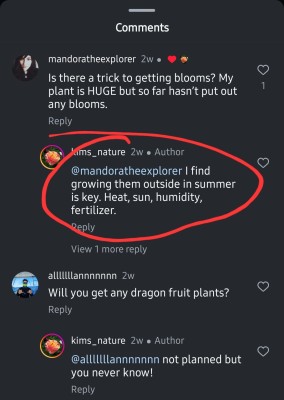 Screenshot_20240805_235731_Instagram.jpg