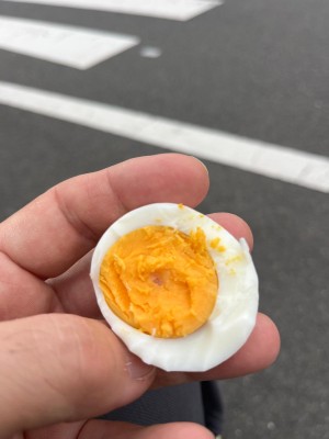 Japanese egg yolk