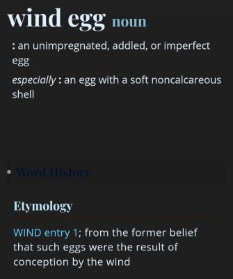 WIND EGG
