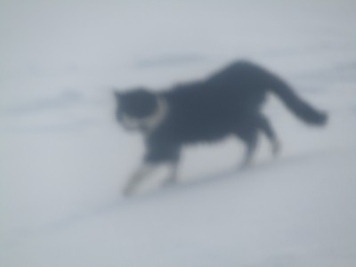 IMG_3450.JPG