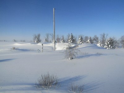 IMG_3294.JPG