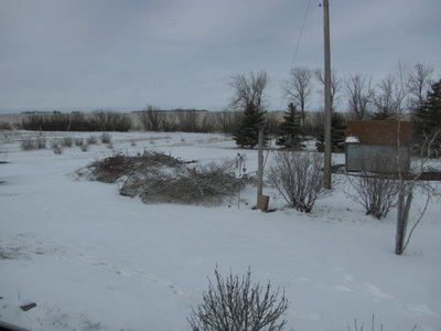 IMG_1706.JPG