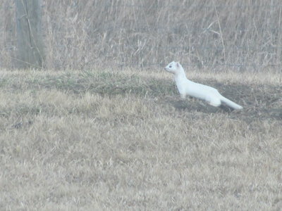 IMG_1452.JPG