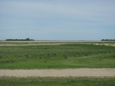 view out living room window.JPG
