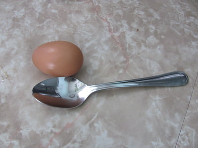 first EO pullet egg Dec 2016b.JPG