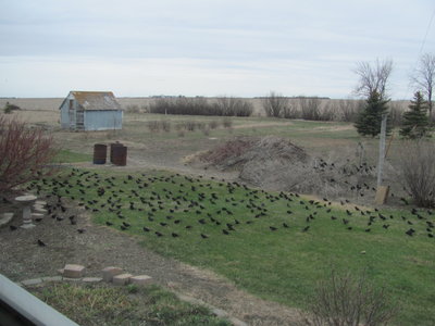 IMG_1681.JPG