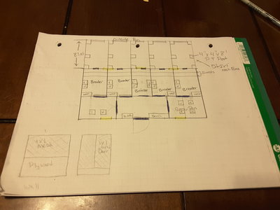 Coop plans - rough