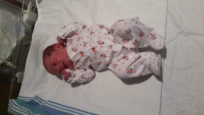 2016-07-29 09.31.28.jpg