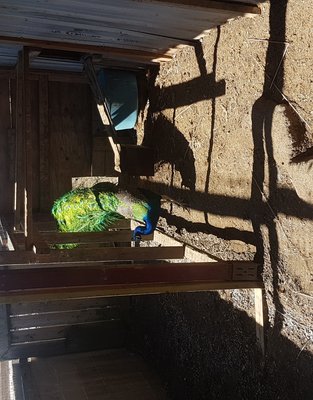 20170401_122449.jpg