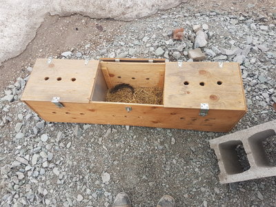 Hen crate