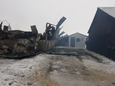 Chicken coop untouched!!! Not even so much as a charred board. Thought for sure we'd be eating roast peacock for Christmas