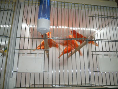 DSCF3280.JPG