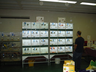 DSCF3286.JPG