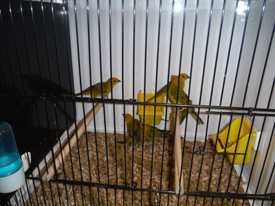 DSCF3273.JPG