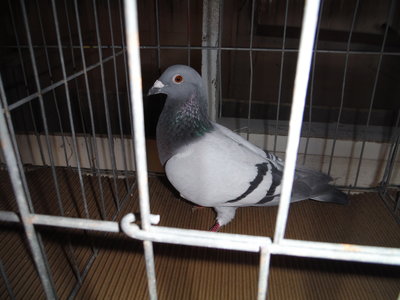 DSCF3026.JPG