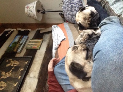 Slow day