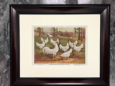 SC White Leghorn Flock 1928 Sewell.JPG