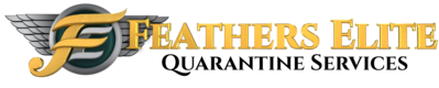Feathers Elite (2).png